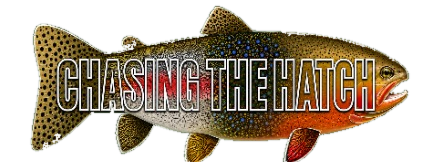 Chasing the Hatch trout logo